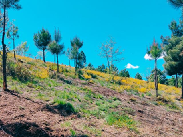 Terreno venda em Chaves, Vila Real