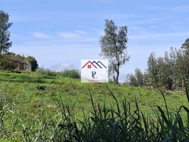 Terreno venda em Coimbrã, Coimbra