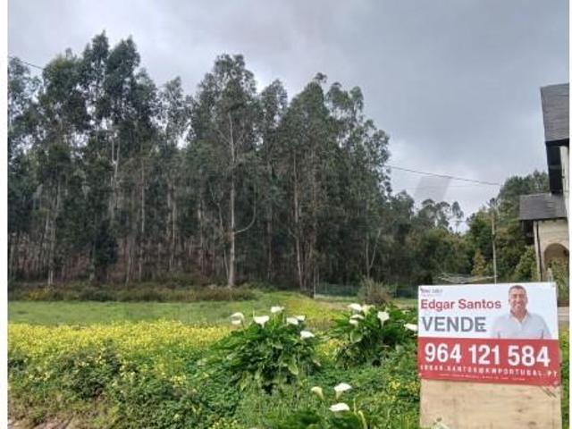 Terreno venda em Coimbrã, Botão