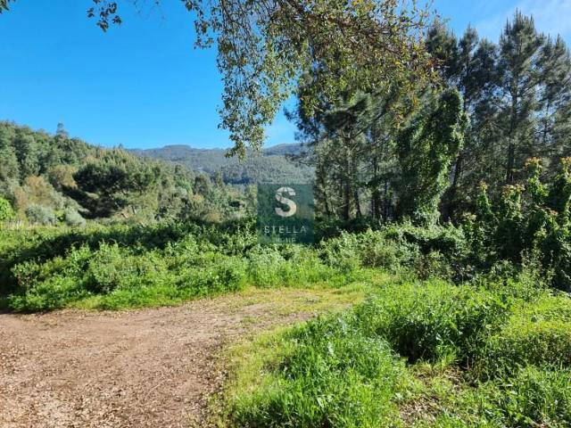 Terreno venda em Coimbrã, Torres Do Mondego