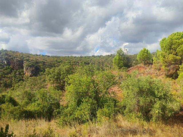 Terreno venda em Loulé, Faro