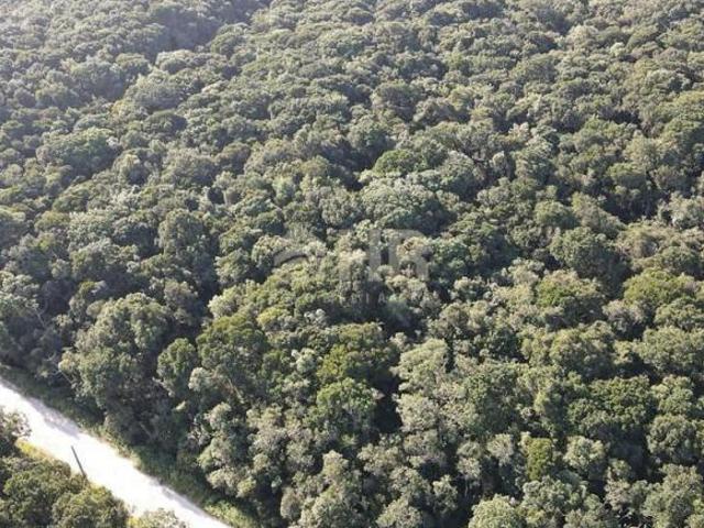 Terreno venda em Região Geográfica Imediata de Paranaguá, Matinhos