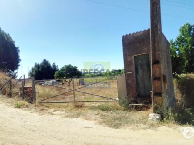 Terreno venda em Santarém
