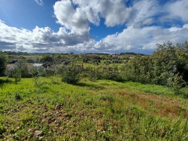 Terreno venda em Tomar, Vermoeiros Terreno venda em Tomar, Vermoeiros