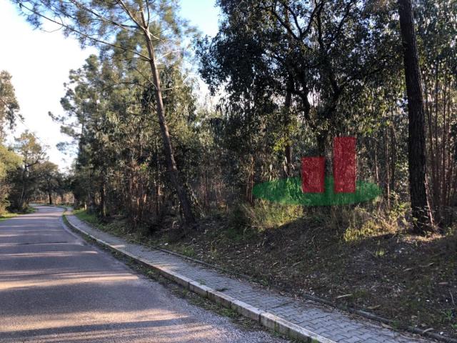 Terreno venda em Asseiceira, Rio Maior