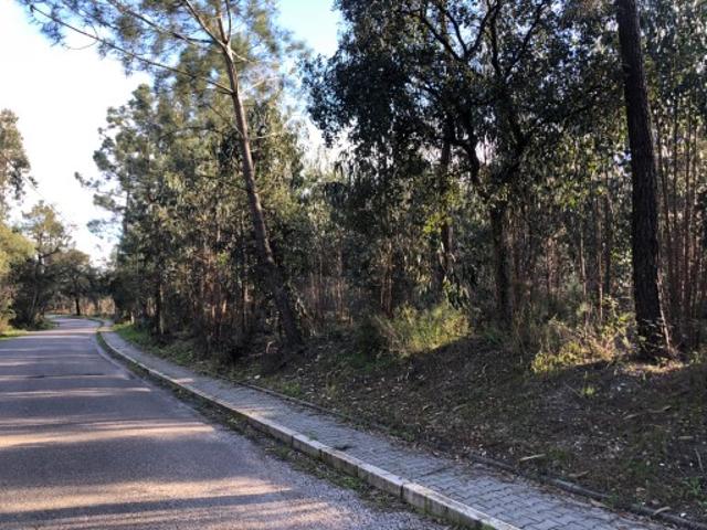 Terreno venda em Asseiceira, Rio Maior