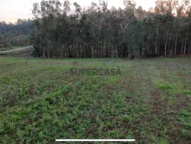 Terreno venda em Pombal, Louriçal