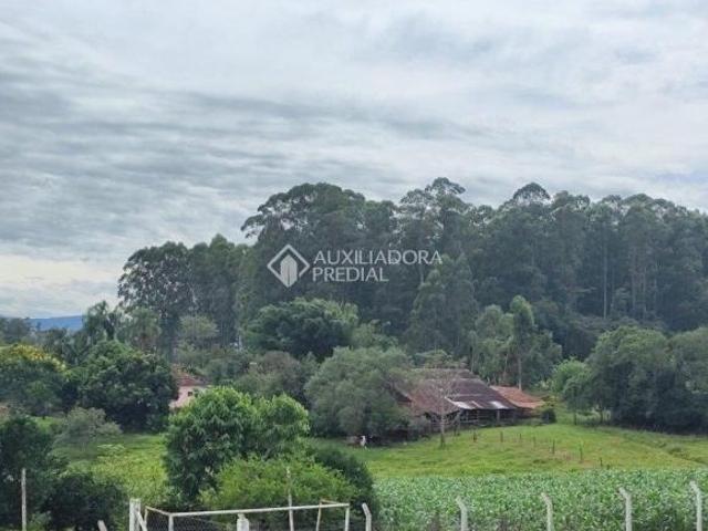 Terreno venda em Costão, Estrela