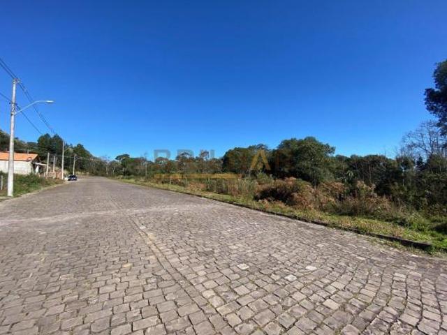Terreno venda em Região Geográfica Imediata de Caxias do Sul, Caxias do Sul