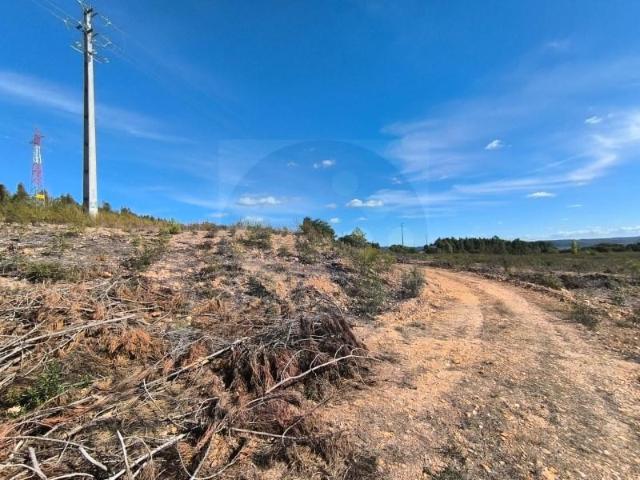 Terreno venda em Constância, Santarém
