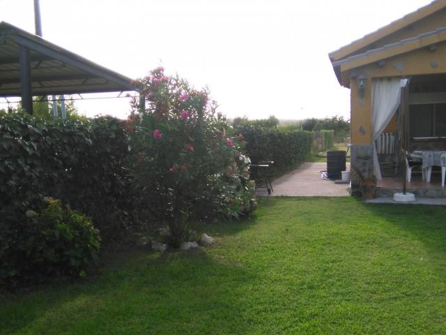 Terreno en venta en Coria, Extremadura
