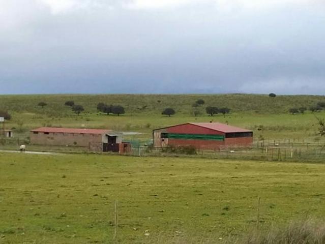Terreno en venta en Coria, Extremadura