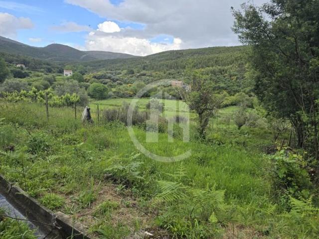 Terreno venda em Castelo Branco, Canhoso