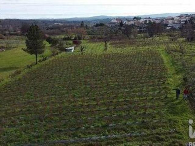 Terreno venda em Castelo Branco, Orjais