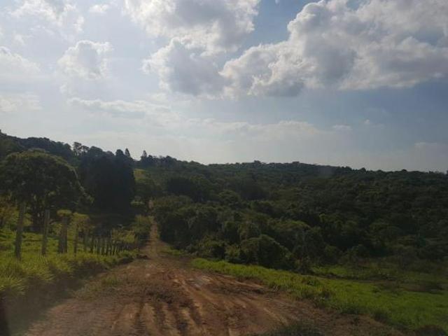 Terreno venda em Ibiúna