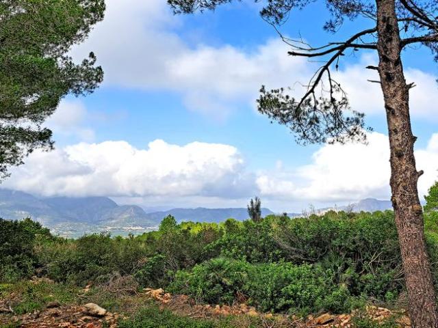 Terreno en venta en la Marina Alta, Valencia