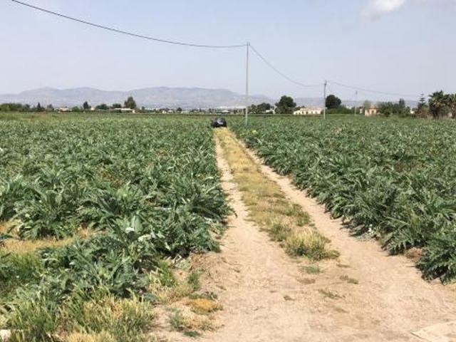 Terreno en venta en el Baix Segura / La Vega Baja, Valencia