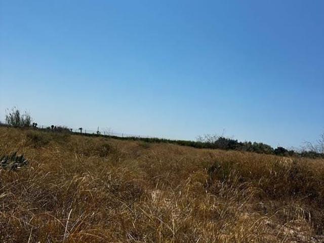 Terreno en venta en la Punyalà, el Baix Vinalopó