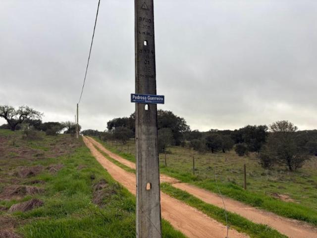 Terreno venda em Monforte, Portalegre
