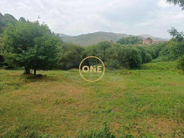 Terreno venda em Ervedeiros, Covas