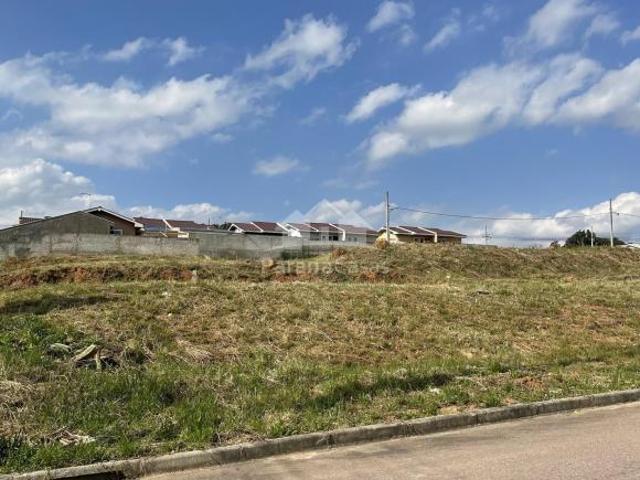 Terreno venda em Região Geográfica Imediata de Curitiba, Região Metropolitana de Curitiba