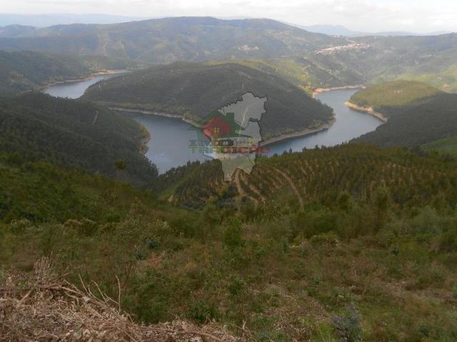 Terreno venda em Castelo Branco, Oleiros