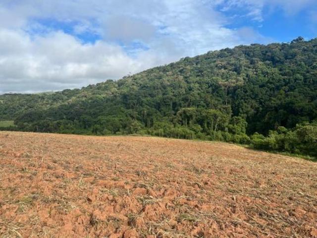 Terreno venda em Região Imediata de Sorocaba, Região Metropolitana de Sorocaba