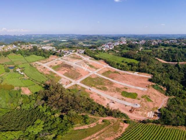 Terreno venda em Região Geográfica Imediata de Bento Gonçalves, Monte Belo do Sul