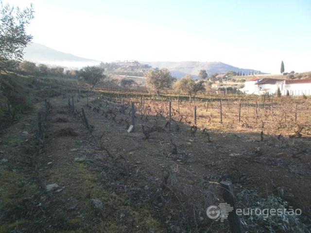 Terreno venda em Nagoselo Do Douro, Viseu