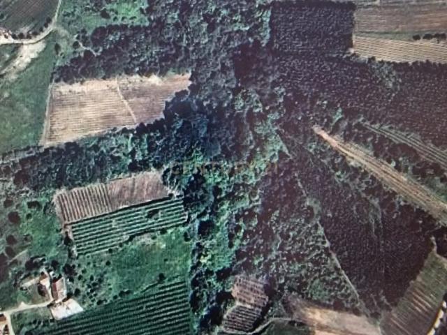 Terreno venda em Cadaval, Painho