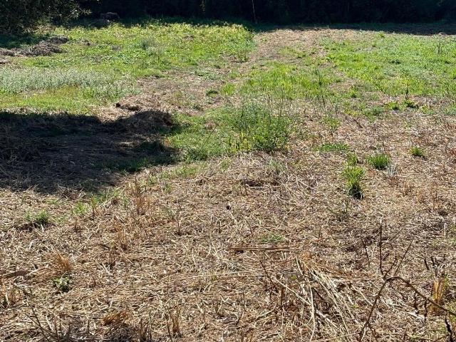 Terreno venda em Pombal, Abiul