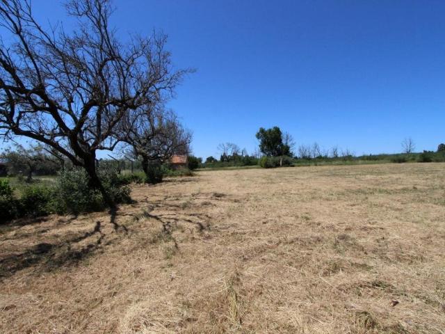 Terreno venda em Guarda, Seia