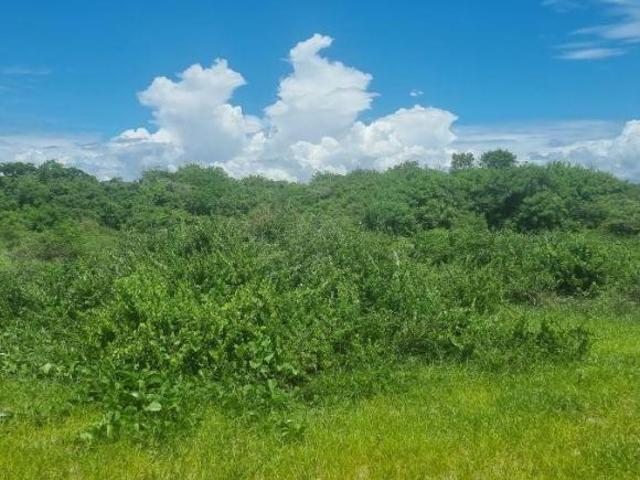 Terreno en venta en Tecuala, Nayarit