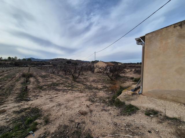 Terreno en venta en el Vinalopó Mitjà / El Vinalopó Medio, Valencia