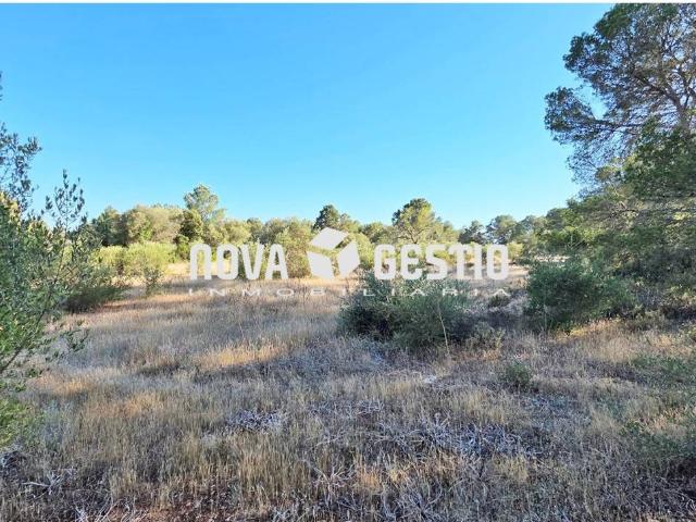 Terreno en venta en la Soledat, Palma