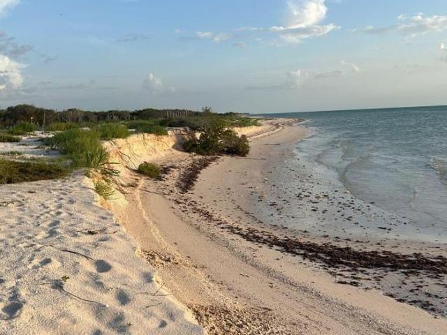 Terrenos en venta en celestun,yucatán,cerca de la playa virgen