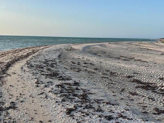 Terrenos en venta en celestun,yucatán,cerca de la playa virgen