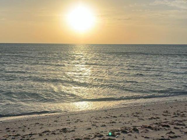 Terrenos en venta en celestun,yucatán,cerca de la playa virgen