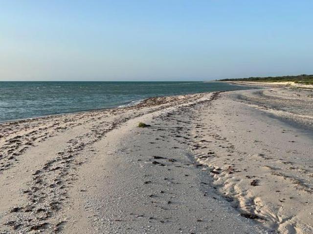 Terrenos en venta en celestun,yucatán,cerca de la playa virgen