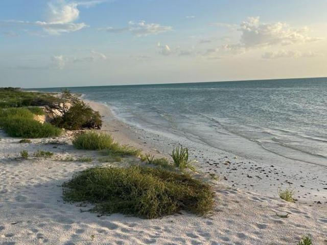 Terrenos en venta en celestun,yucatán,cerca de la playa virgen