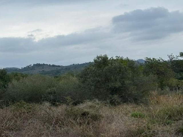 Local Comercial en venta en el Camp de Morvedre, Valencia