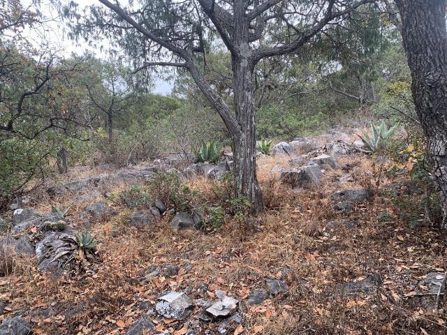 Terreno en venta en Santo Domingo, San Luis Potosí