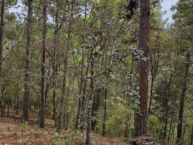 Terreno en venta en San Andrés Paxtlán, Oaxaca