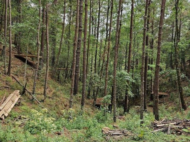 Terreno en venta en San Andrés Paxtlán, Oaxaca