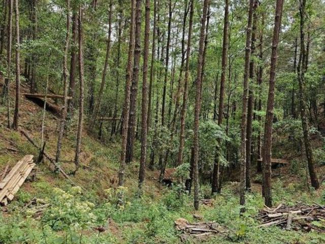 Terreno en venta en San Andrés Paxtlán, Oaxaca