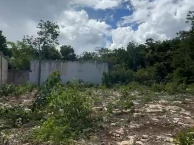 Terreno en venta en Tulum