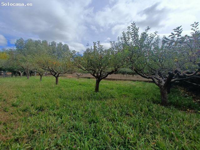 Local Comercial en venta en Villaturiel, Castilla y León