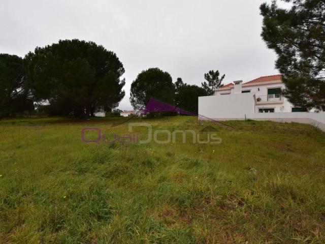 Terreno venda em Entroncamento, Nossa Senhora De Fátima