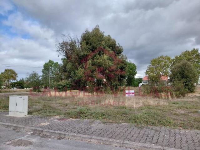 Terreno venda em Entroncamento, Nossa Senhora De Fátima