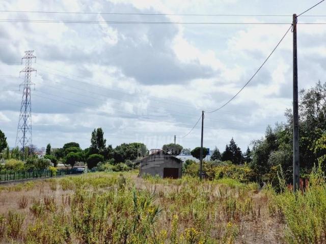 Terreno venda em Entroncamento, Nossa Senhora De Fátima